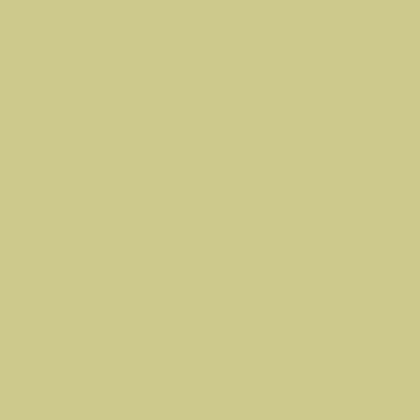 Thorndown Wood Paint 750ml - Rhyne Green