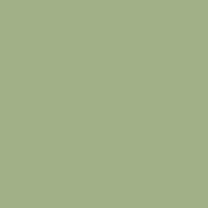 Thorndown Wood Paint 2.5 Litres - Sedge Green