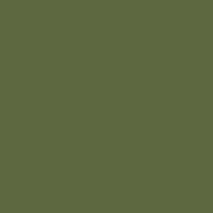 Protek Royal Exterior Paint 125ml Sample Pot - Jungle Green