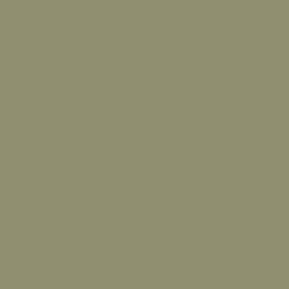 Protek Royal Exterior Paint 125ml Sample Pot - Olive Green