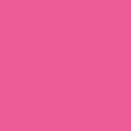 Protek Royal Exterior Paint 125ml Sample Pot - Flamingo Pink