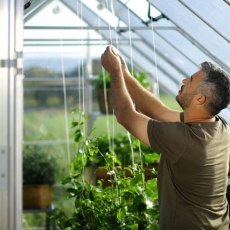 10x12 Palram Canopia Balance Greenhouse - Silver - in situ, internal view