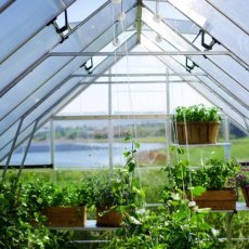 10x12 Palram Canopia Balance Greenhouse - Silver - in situ, internal view