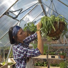 8x12 Palram - Canopia Balance Greenhouse - Silver - in situ, hanger