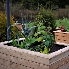 Shire Irena Larchwood Planter - in situ, closeup 2