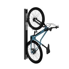 Biohort BikeLift® Wall Mounted in Metallic Dark Grey - Standard and Swivel Mount - isolated