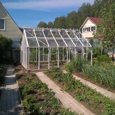 Elite Titan 800 8x14 Greenhouse in white side view