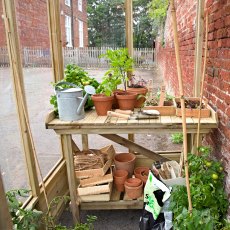 4 X 6 Forest Wallscape Lean To Greenhouse With Open Back - Pressure Treated - internal view