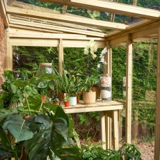 4 X 8 Forest Wallscape Lean To Greenhouse With Open Back - Pressure Treated - internal