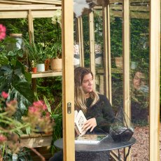 4 X 8 Forest Wallscape Lean To Greenhouse With Open Back - Pressure Treated - internal view