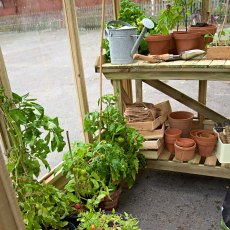 4 x 6 Forest Wallscape Lean To Greenhouse With Solid Back - Pressure Treated - internal view