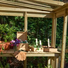 4 x 8 Forest Wallscape Lean To Greenhouse With Solid Back - Pressure Treated - internal view