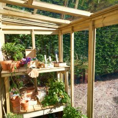 4 x 8 Forest Wallscape Lean To Greenhouse With Solid Back - Pressure Treated - internal view