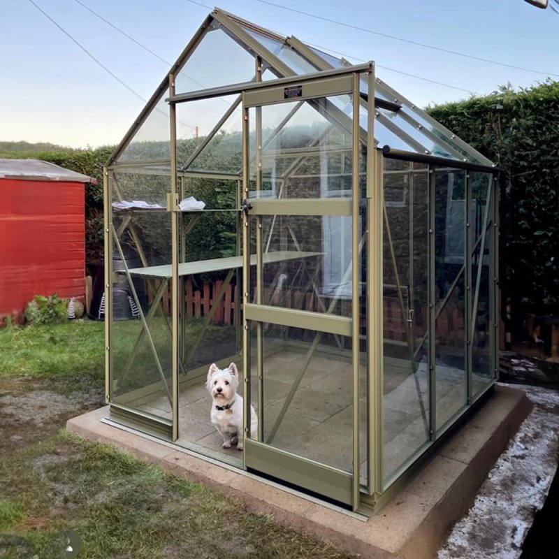 Elite High Eave 6x6 Greenhouse in Olive powder coating with optional extras