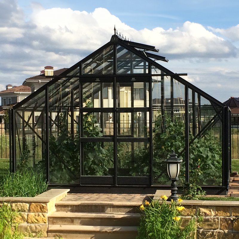 Elite Titan 1200 12x12 Greenhouse in option Black Powder Coating with additional extras