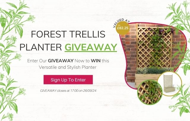 Forest Trellis Planter